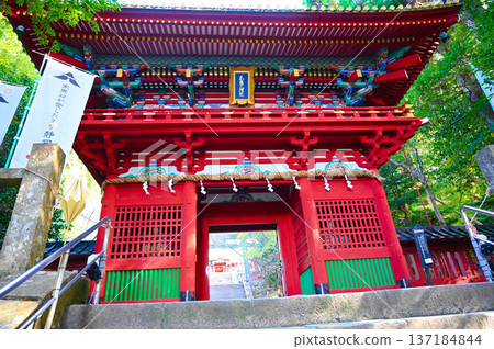 靜岡市久能山東照宮塔門 靜岡市久能山東照宮塔門 137184844