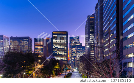 Tokyo night view: Tokyo Tower seen from Kasumigaseki Tokyo night view: Tokyo Tower seen from Kasumigaseki 137185110