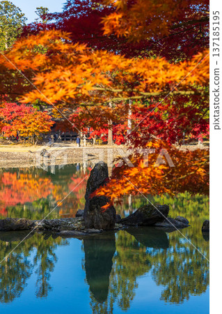 秋季的岩手縣平泉市：世界遺產茂津寺，秋色迷人，還有淨土庭園。 137185195