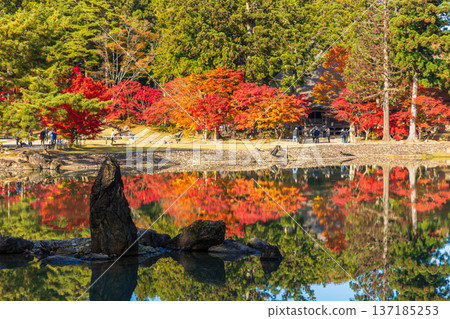 Hiraizumi, Iwate Prefecture in autumn: Motsuji Temple, a World Heritage Site with autumn foliage, and the Pure Land Garden 137185253