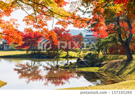 秋季的岩手縣平泉市：世界遺產賞楓勝地，勘治在王院遺址 137185269