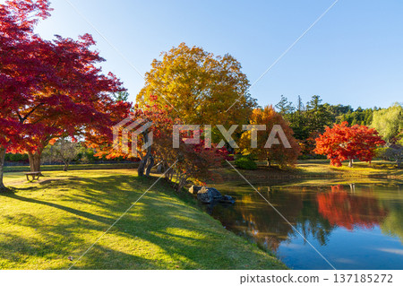 Hiraizumi, Iwate Prefecture in autumn: World Heritage Site of Autumn Foliage, Kanjizaio-in Temple Ruins Hiraizumi, Iwate Prefecture in autumn: World Heritage Site of Autumn Foliage, Kanjizaio-in Temple Ruins 137185272