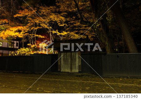 秋田縣角館的秋景-夜幕降臨,武士宅邸街道上的秋葉在燈光的映襯下顯得格外迷人。 秋田縣角館的秋景-夜幕降臨,武士宅邸街道上的秋葉在燈光的映襯下顯得格外迷人。 137185340