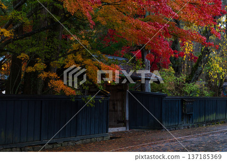 Autumn in Kakunodate, Akita Prefecture - Autumn leaves on Samurai Residence Street Autumn in Kakunodate, Akita Prefecture - Autumn leaves on Samurai Residence Street 137185369