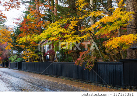 秋田縣角館市的秋天－武士居街上的秋葉 137185381