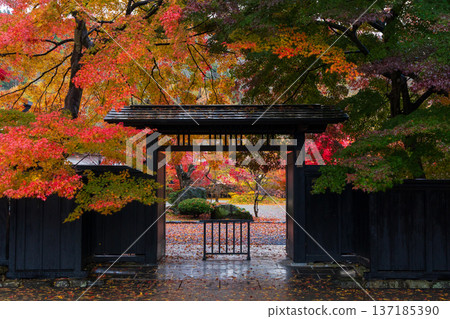Autumn in Kakunodate, Akita Prefecture - Autumn leaves on Samurai Residence Street Autumn in Kakunodate, Akita Prefecture - Autumn leaves on Samurai Residence Street 137185390