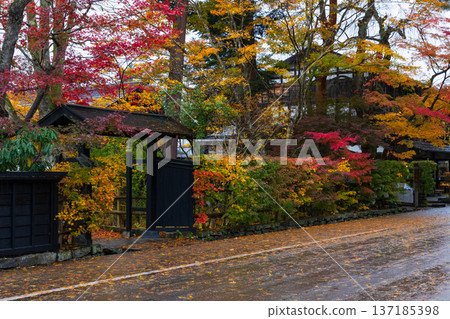 Autumn in Kakunodate, Akita Prefecture - Autumn leaves on Samurai Residence Street Autumn in Kakunodate, Akita Prefecture - Autumn leaves on Samurai Residence Street 137185398