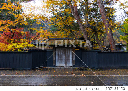 Autumn in Kakunodate, Akita Prefecture - Autumn leaves on Samurai Residence Street 137185450
