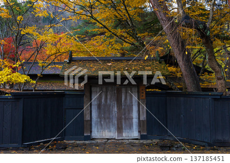 Autumn in Kakunodate, Akita Prefecture - Autumn leaves on Samurai Residence Street 137185451