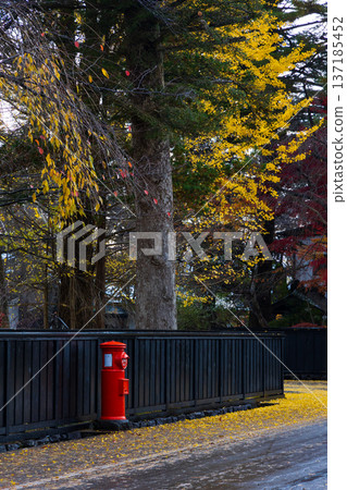 Autumn in Kakunodate, Akita Prefecture - Autumn leaves on Samurai Residence Street 137185452