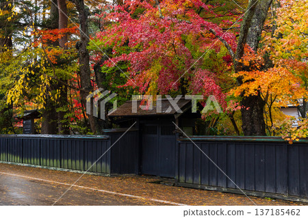 Autumn in Kakunodate, Akita Prefecture - Autumn leaves on Samurai Residence Street 137185462