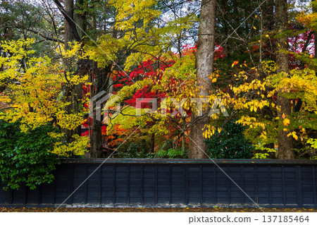 Autumn in Kakunodate, Akita Prefecture - Autumn leaves on Samurai Residence Street Autumn in Kakunodate, Akita Prefecture - Autumn leaves on Samurai Residence Street 137185464