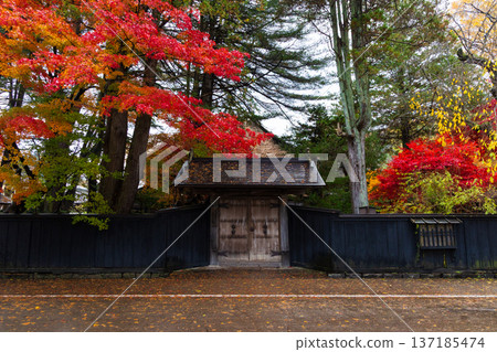 Autumn in Kakunodate, Akita Prefecture - Autumn leaves on Samurai Residence Street Autumn in Kakunodate, Akita Prefecture - Autumn leaves on Samurai Residence Street 137185474