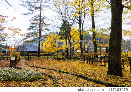 Autumn in Kakunodate, Akita Prefecture - Autumn leaves on Samurai Residence Street Autumn in Kakunodate, Akita Prefecture - Autumn leaves on Samurai Residence Street 137185479