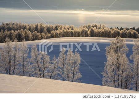 一個壯麗的銀白色世界 137185786