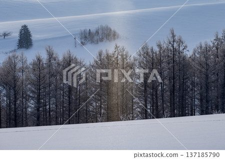 A magnificent silvery white world A magnificent silvery white world 137185790
