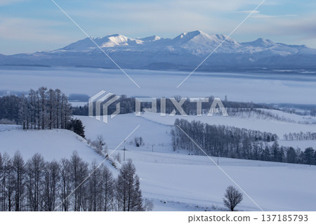 一個壯麗的銀白色世界 137185793