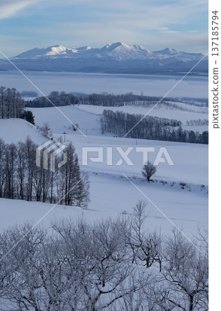 一個壯麗的銀白色世界 137185794