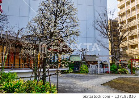 東京新宿區成幸天神神社 東京新宿區成幸天神神社 137185830