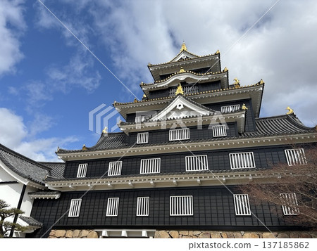 在岡山城堡的城堡塔 137185862