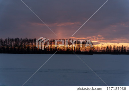 日出時的雪地 日出時的雪地 137185986