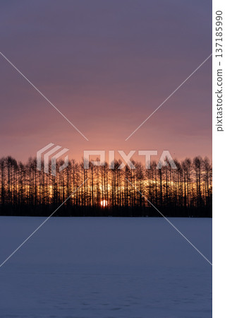 Snowy land at sunrise Snowy land at sunrise 137185990
