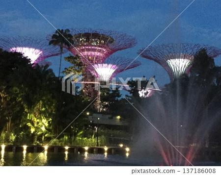 一場精彩絕倫、璀璨奪目的擎天樹夜間表演 137186008