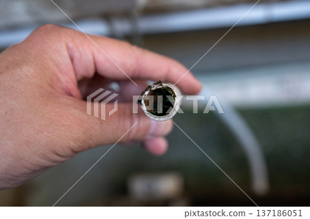 The inside of the outdoor unit's drain hose is dirty 137186051