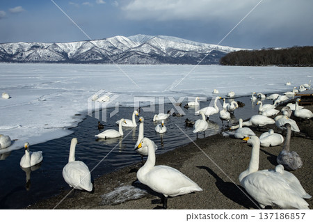 Winter in Lake Kussharo 137186857