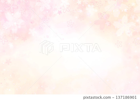 Spring cherry blossom background material: watercolor illustration of cherry blossoms in full bloom and cherry blossom petals falling Spring cherry blossom background material: watercolor illustration of cherry blossoms in full bloom and cherry blossom petals falling 137186901