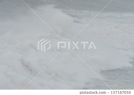 Close up of a massive explosion of white sea foam and spray as a giant wave crashes in the ocean Close up of a massive explosion of white sea foam and spray as a giant wave crashes in the ocean 137187050