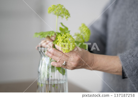 Senior woman's hands arranging flowers 137187258