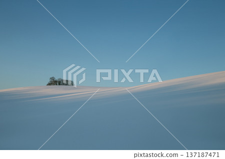 A magnificent silvery white world 137187471