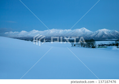 A magnificent silvery white world 137187476