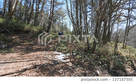 金波加塔山山道 137187505
