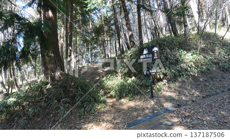 Jinbagata Mountain Mountain Trail Jinbagata Mountain Mountain Trail 137187506