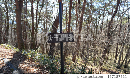 Jinbagata Mountain Mountain Trail 137187511