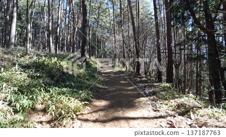 金波加塔山山道 137187763