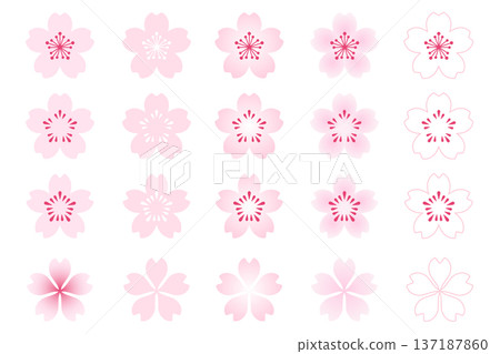 A set of cherry blossoms that can be arranged and used, with a white transparent background, icons, and vector illustrations A set of cherry blossoms that can be arranged and used, with a white transparent background, icons, and vector illustrations 137187860