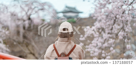 Woman tourist sightseeing Hirosaki Castle with Sakura Cherry Blossom in Spring, happy traveler travel in Hirosaki city, Aomori, Tohoku, Japan. Landmark famous in Japan. Travel and Vacation destination 137188057