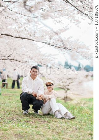 Couple tourist sightseeing Sakura Cherry Blossom in Spring. Happy traveler travel near Hinokinai River riverbank in Kakunodate town, Semboku District, Akita Prefecture, Japan. Landmark and Vacation 137188076