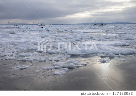 漂流岸邊 137188088