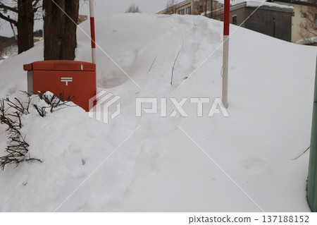大雪 大雪 137188152