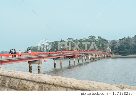 Fukuura jima bridge or the bridge of romantic encounters for Fukuura Island at Matsushima Bay in Matsushima, Miyagi Prefecture, Tohoku, Japan. Landmark and famous Vacation Fukuura jima bridge or the bridge of romantic encounters for Fukuura Island at Matsushima Bay in Matsushima, Miyagi Prefecture, Tohoku, Japan. Landmark and famous Vacation 137188253