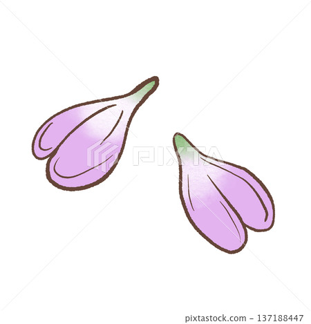 Soft purple wisteria petal pair hand drawn floral illustration delicate spring botanical element for romantic stationery and feminine designs 137188447