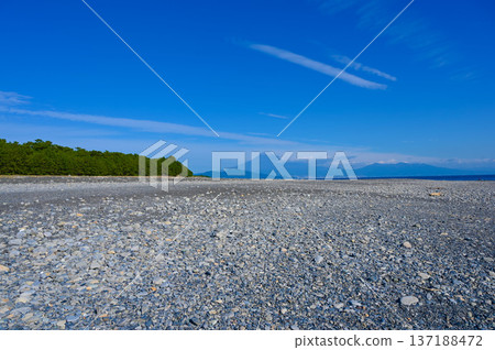 靜岡市 三保之松原 137188472