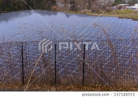 太陽能發電 137188553