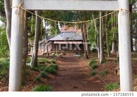 2026年2月，千葉縣柏市香取神社附近 137188555