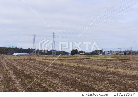 Cloudy weather around the Oba River in Kashiwa City, Chiba Prefecture, February 2026 137188557