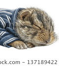 Vole sleeping in blue pajamas watercolor cozy vibe 137189422